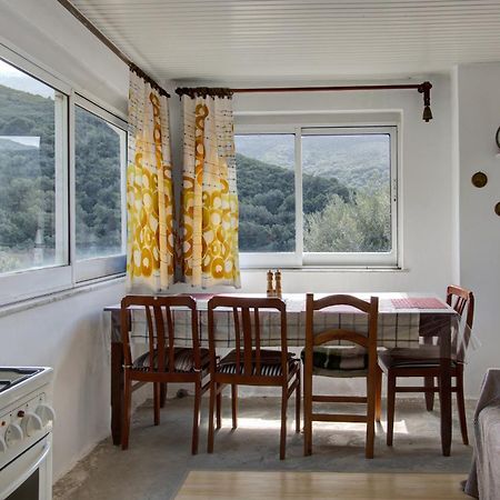 Traditional Cretan Country House Plokamianá エクステリア 写真