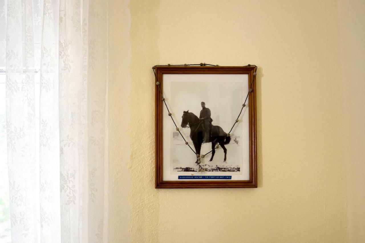 Traditional Cretan Country House Plokamianá エクステリア 写真