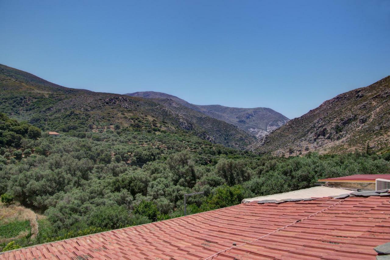 Traditional Cretan Country House Plokamianá エクステリア 写真