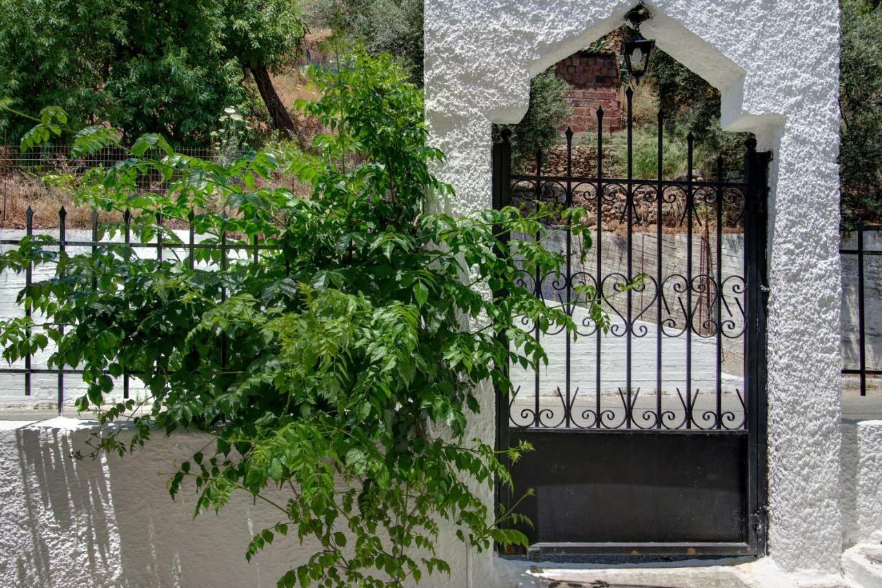 Traditional Cretan Country House Plokamianá エクステリア 写真